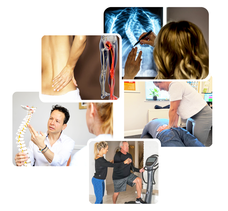 Compilation for all services Sciatica v 2 copy