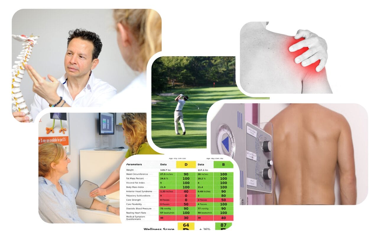 cOLLAGE HARTSWOOD cOLLAGE HARTSWOOD